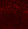 SplatterBackground.jpg